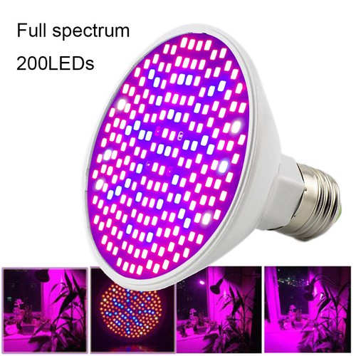 200 led plant - led, full
